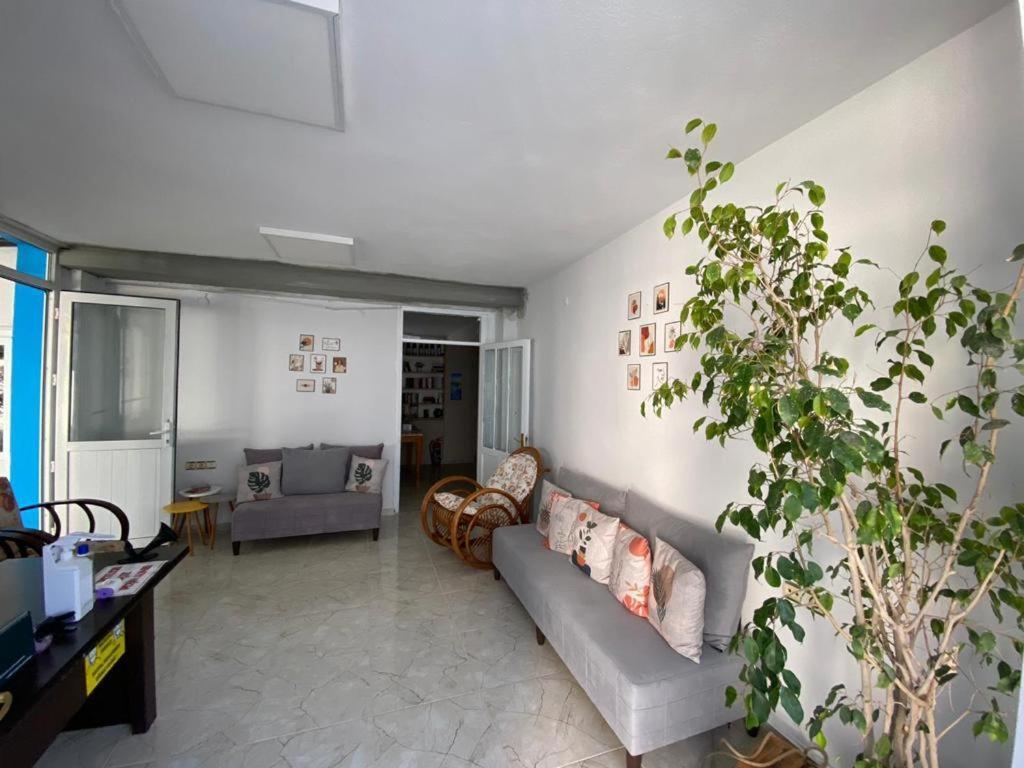 Nese Hotel Çeşme Buitenkant foto